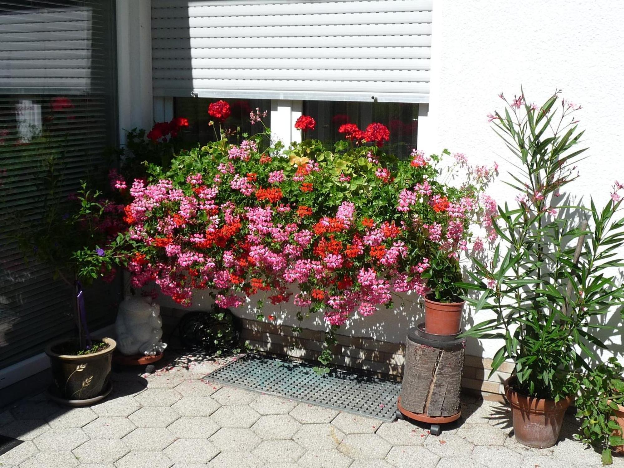 Graceful Apartment In Velmede With Garden Bestwig Eksteriør bilde