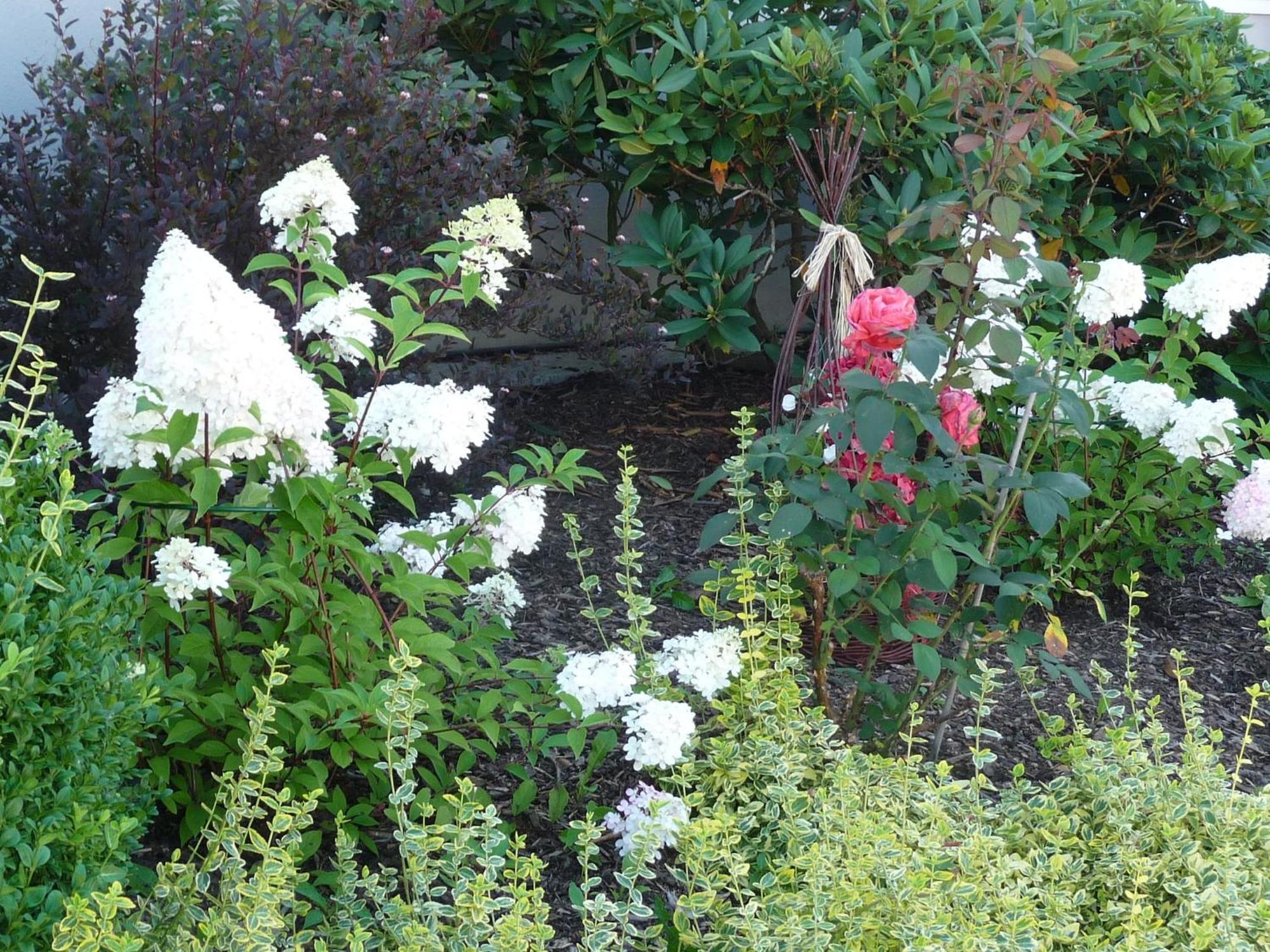 Graceful Apartment In Velmede With Garden Bestwig Eksteriør bilde